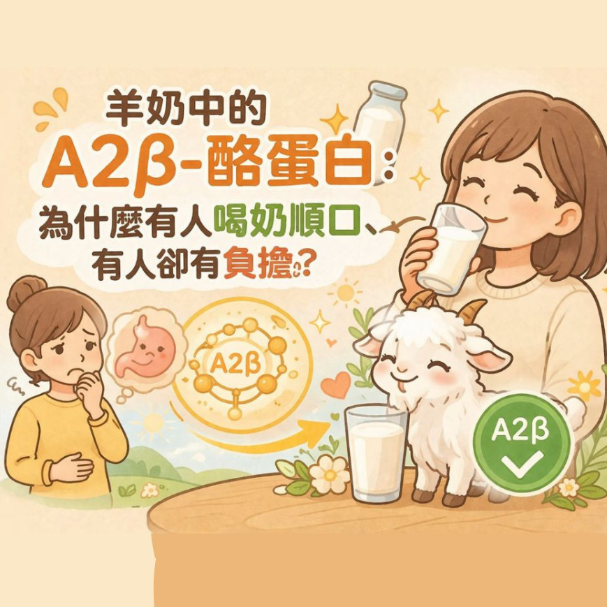 羊奶的A2β-酪蛋白是什麼？