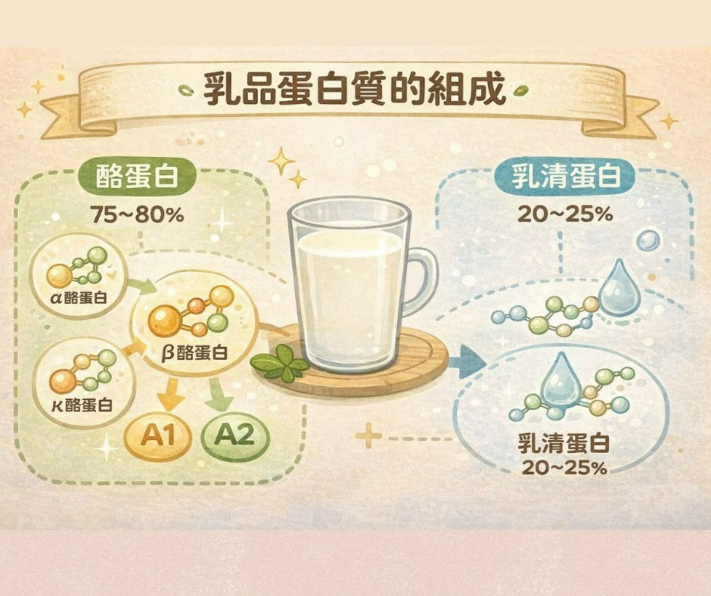乳品蛋白質組成:酪蛋白與乳清蛋白比例示意圖