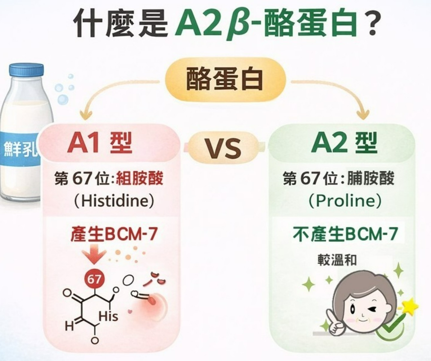 A1與A2β酪蛋白胺基酸差異示意圖