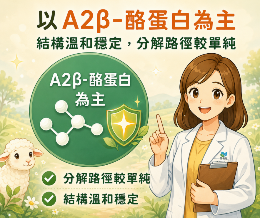 羊奶以 A2β-酪蛋白為主的蛋白質組成段落配圖