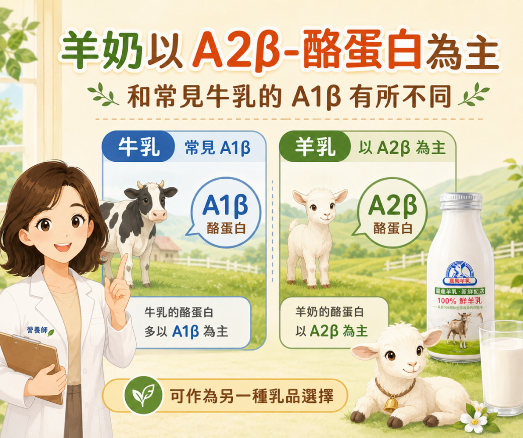 羊奶以A2β酪蛋白為主示意