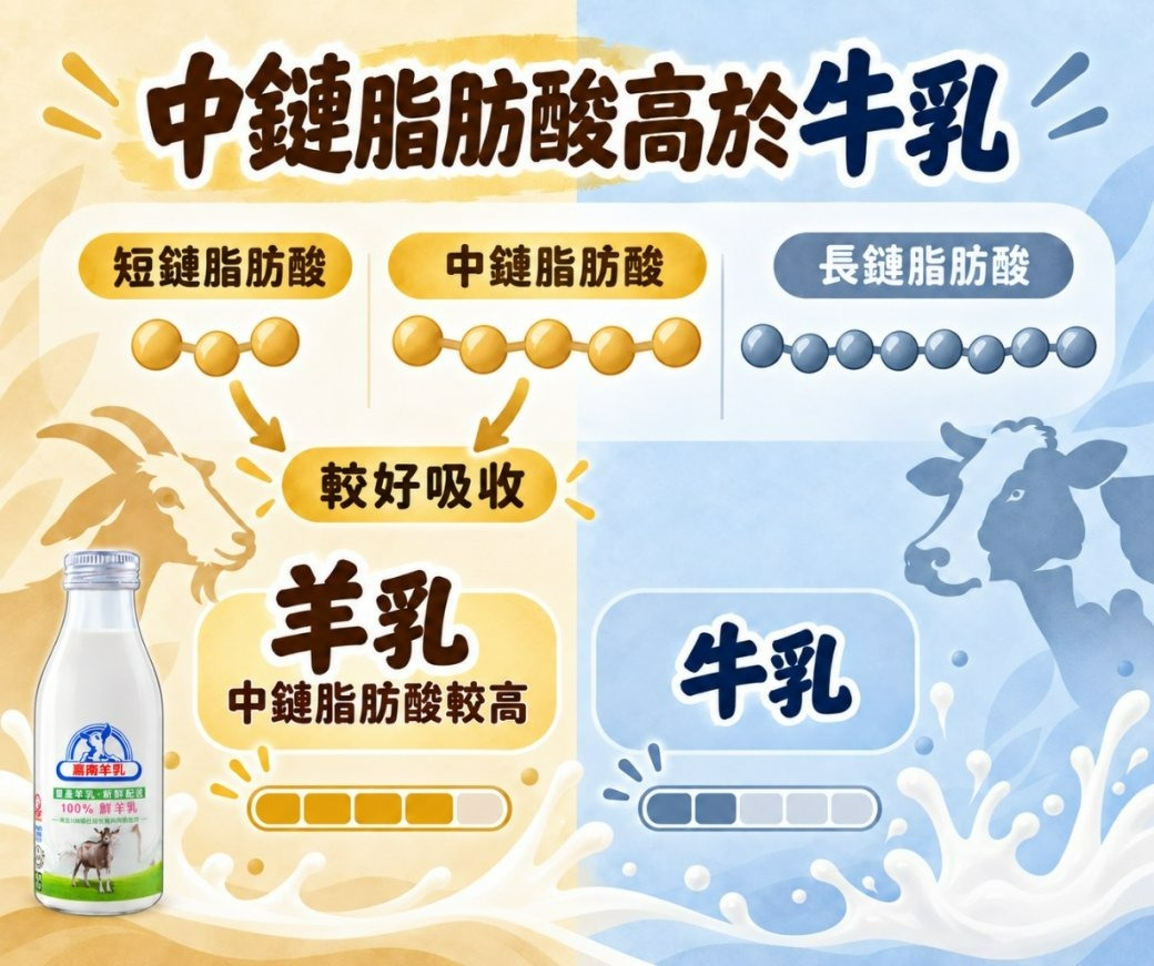 短鏈中鏈長鏈脂肪酸分類與羊乳中鏈脂肪酸較高示意